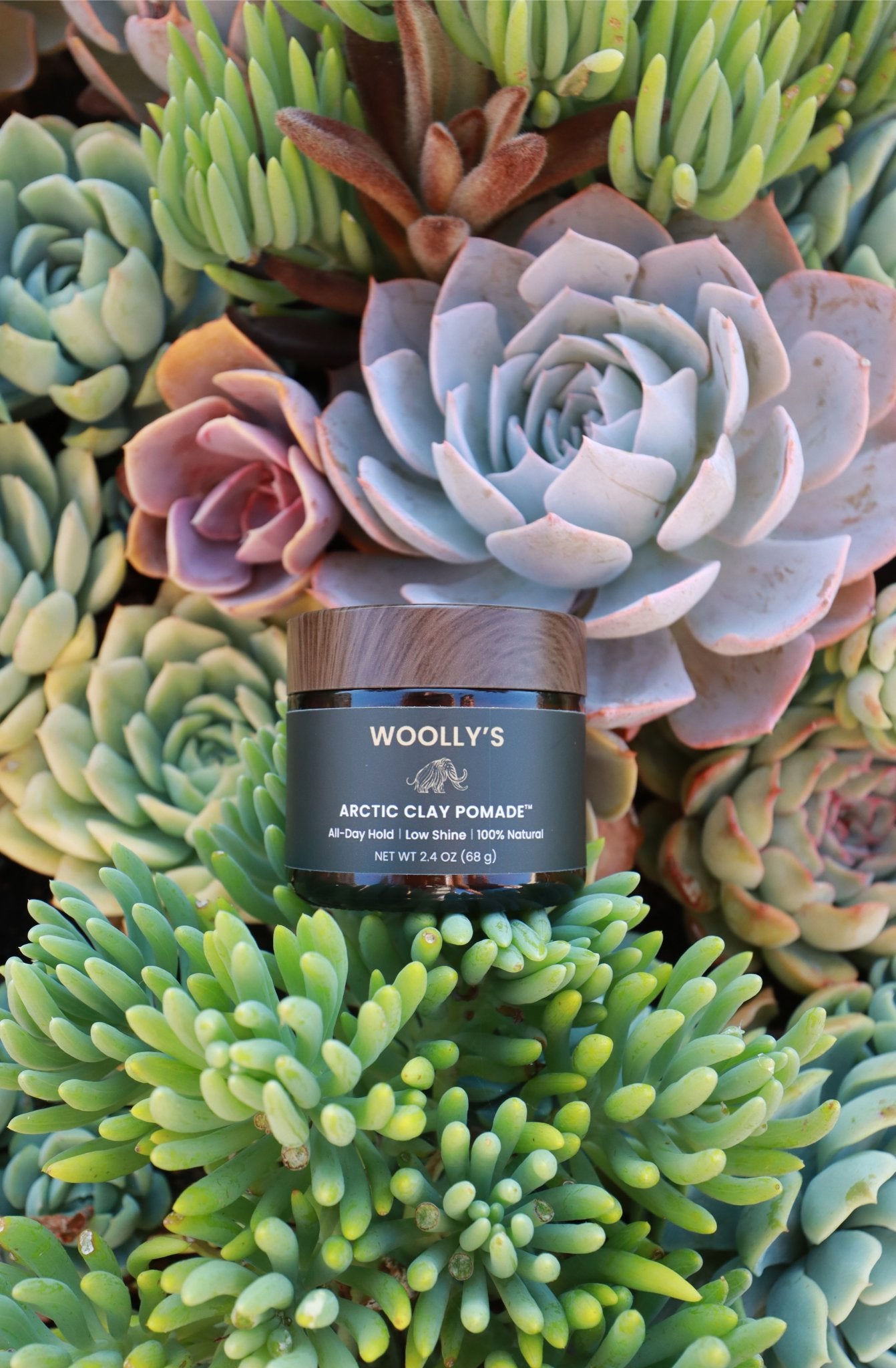 Our mens hair clay on top of a plant to signify its natural ingredients