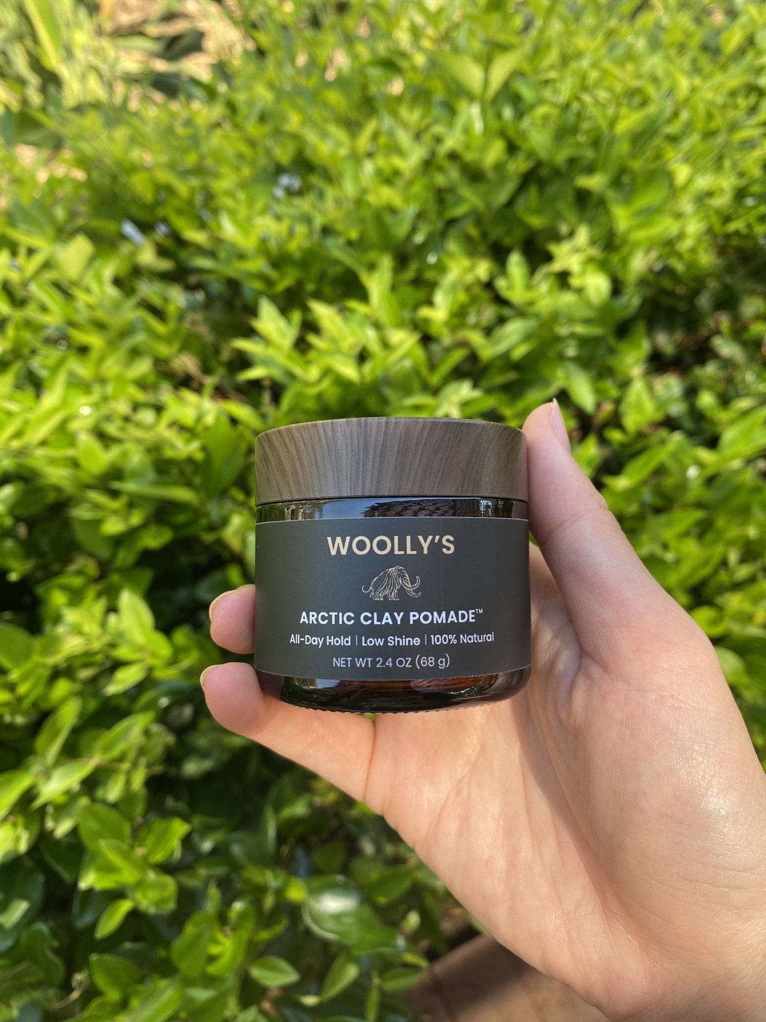 Mens clay pomade being held in front of a plant